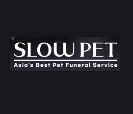 슬로우 펫
