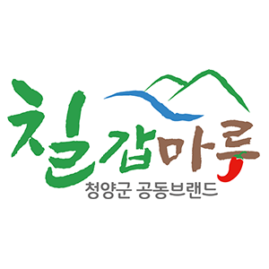 축제 홍보 및 쇼핑몰 ROAS 200%