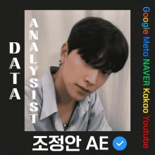 조정안 AE